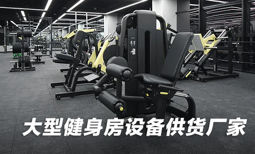 大型健身房设备供货桃子视频在线看免费视频网
