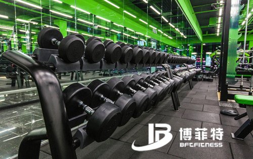 乌克兰客户的健身房图片 桃子视频官网版在线播放健身器材案例